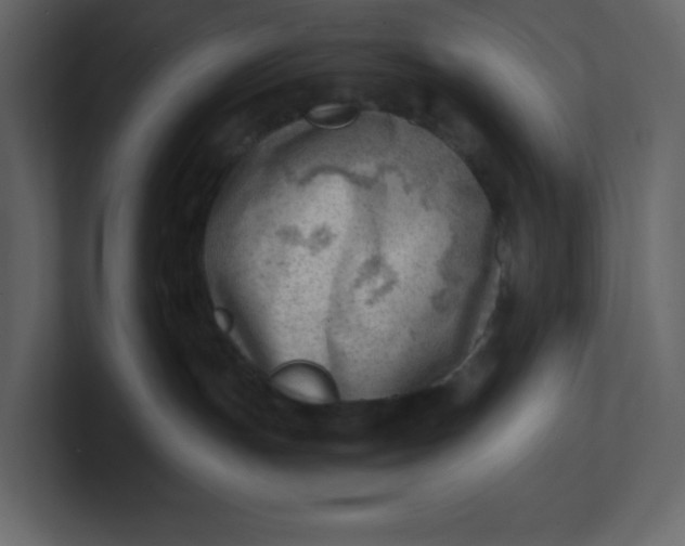 X0000100930191200807151252