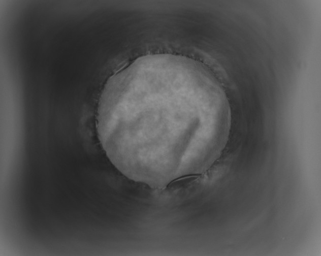 X0000100930192200807151252