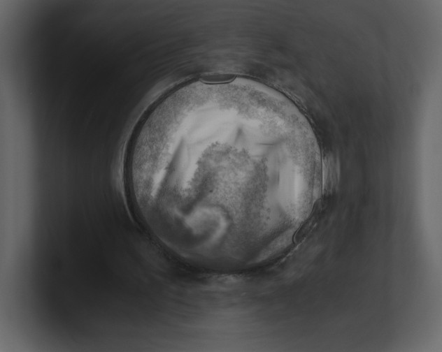 X0000100930195200807151251