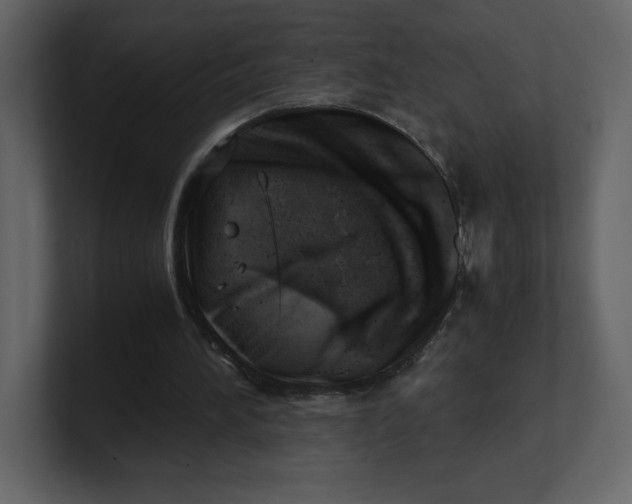 X0000100930196200807151251