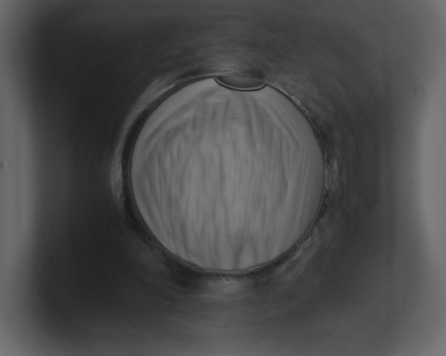 X0000100930198200807151251