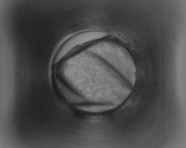 X0000100930200200807151251