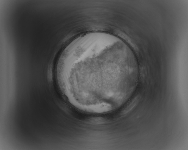 X0000100930203200807151251