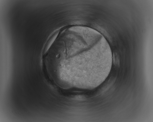 X0000100930204200807151251