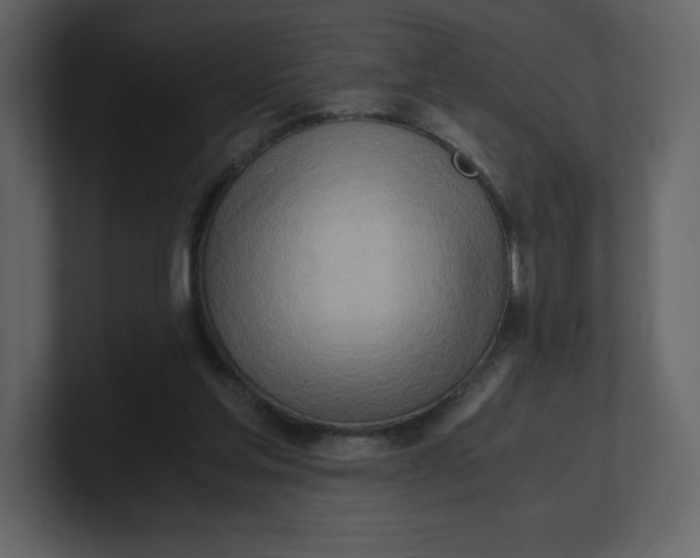 X0000100930205200807151251