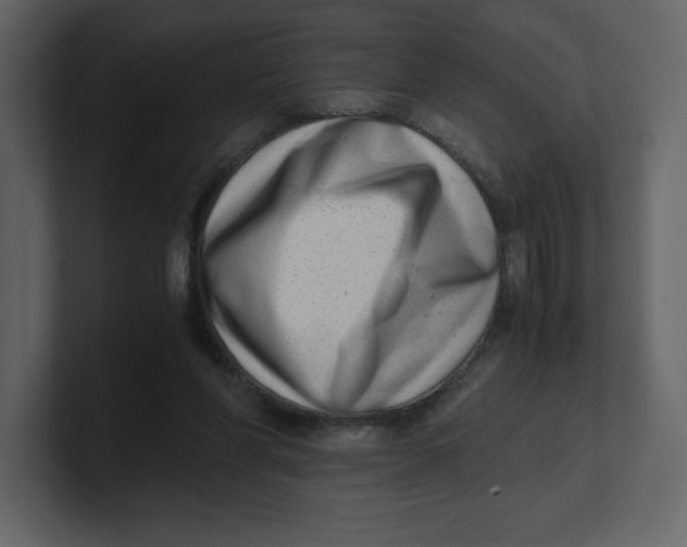 X0000100930206200807151251