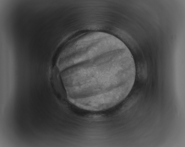 X0000100930208200807151251