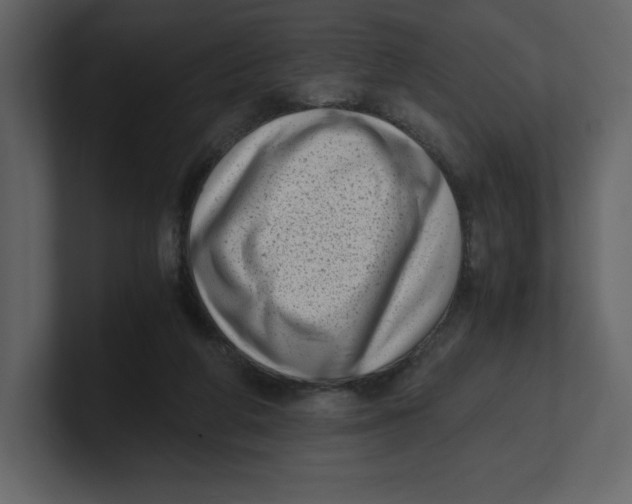 X0000100930210200807151251