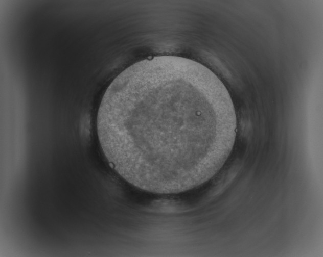 X0000100930211200807151251