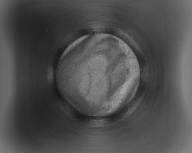 X0000100930213200807151251