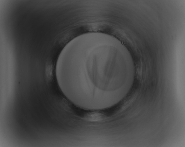 X0000100930219200807151251