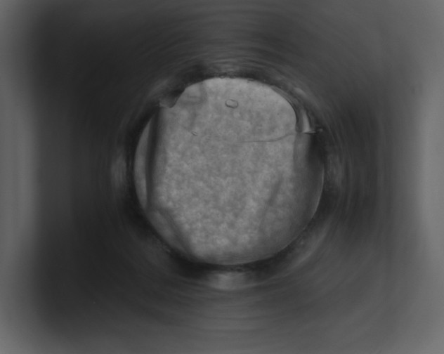 X0000100930220200807151251