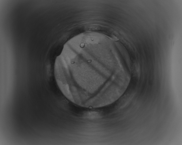 X0000100930224200807151251