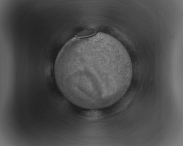 X0000100930225200807151251