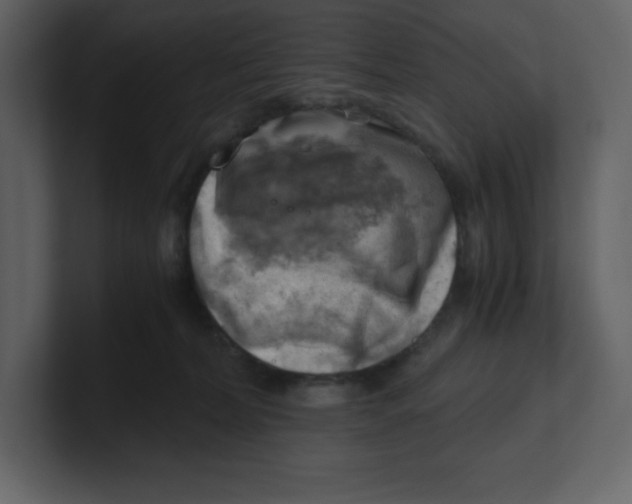 X0000100930228200807151251