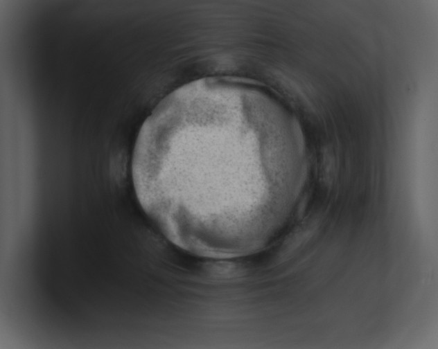 X0000100930230200807151251