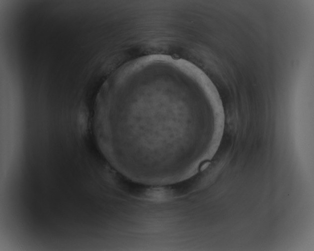 X0000100930231200807151251