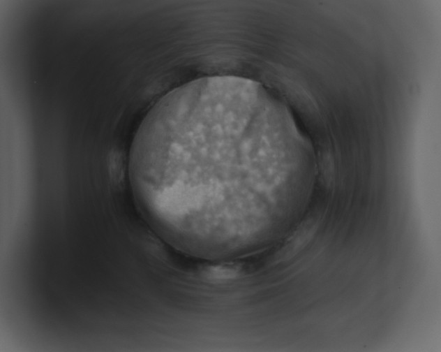 X0000100930232200807151251