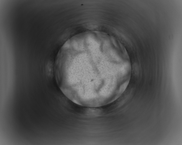 X0000100930234200807151251