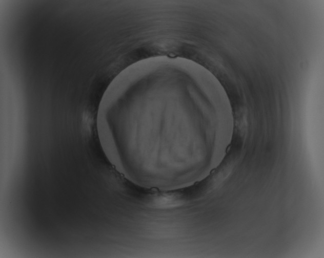 X0000100930235200807151251