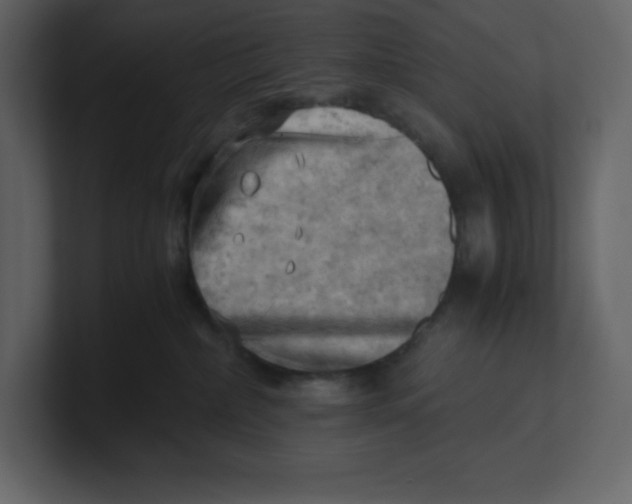 X0000100930236200807151251