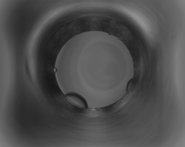 X0000100930239200807151251