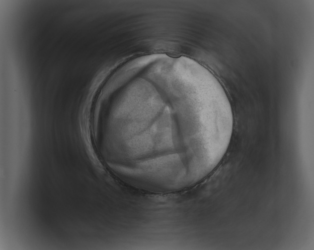 X0000100930241200807151250