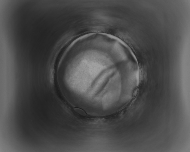 X0000100930243200807151250