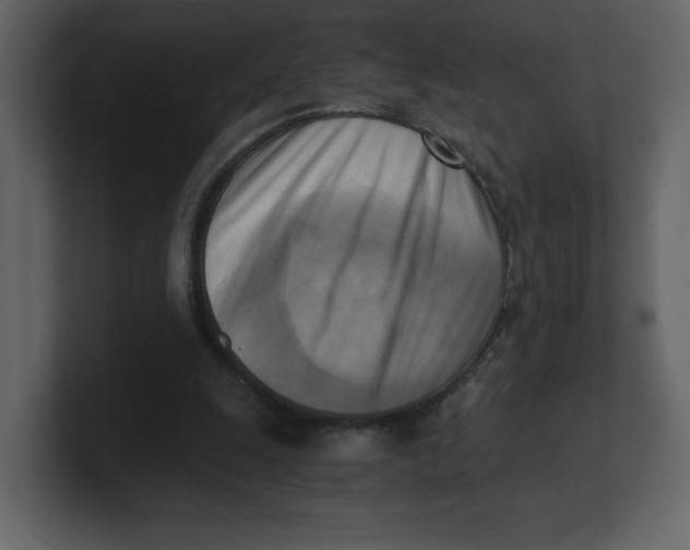 X0000100930247200807151250