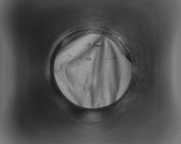 X0000100930248200807151250