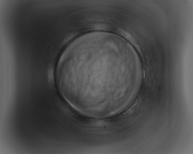 X0000100930249200807151250