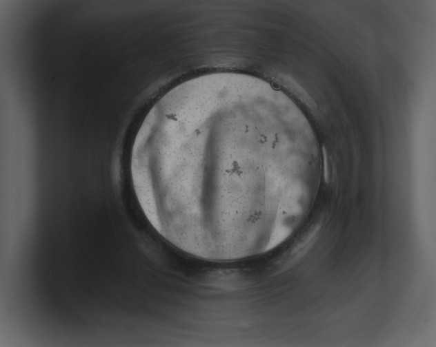 X0000100930252200807151250