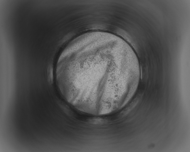 X0000100930253200807151250