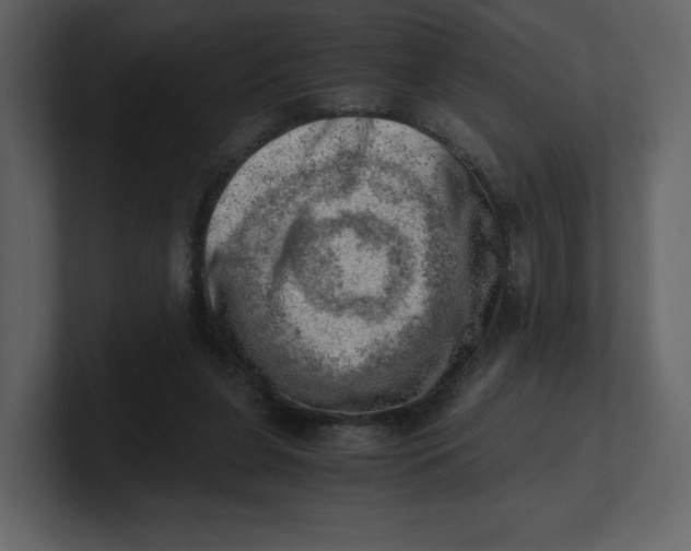 X0000100930255200807151250