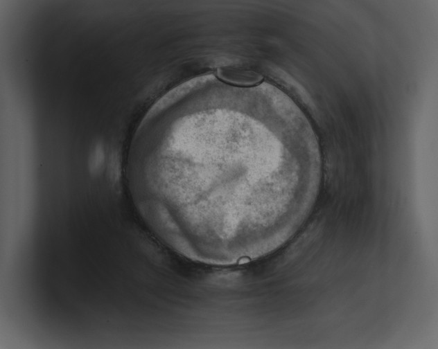 X0000100930257200807151250