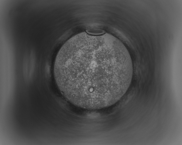 X0000100930258200807151250