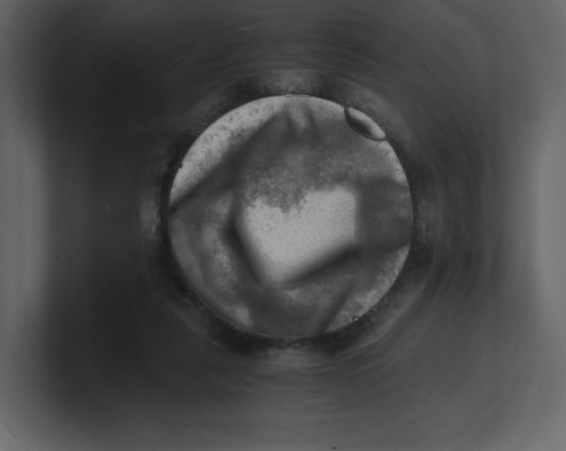 X0000100930259200807151250