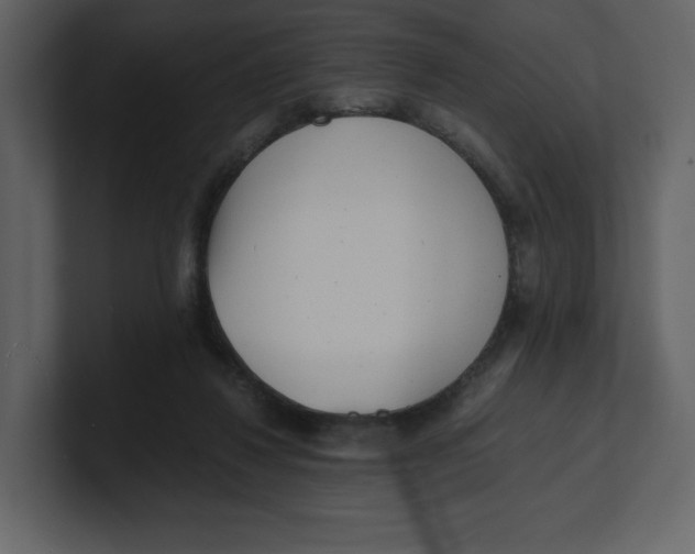 X0000100930260200807151250