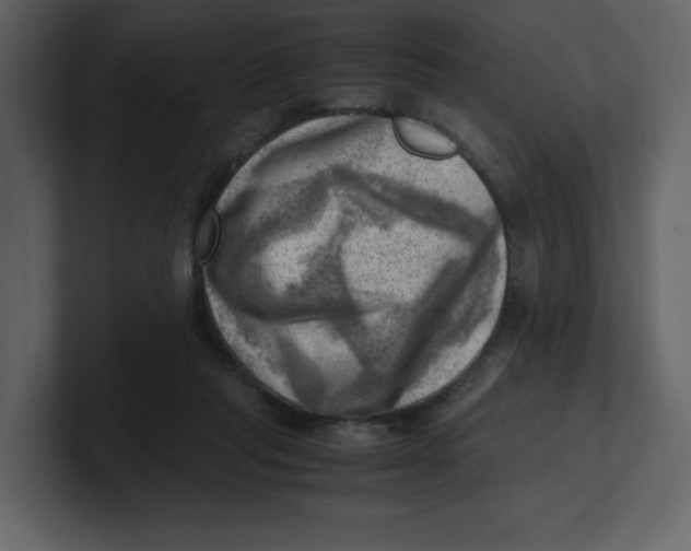 X0000100930261200807151250