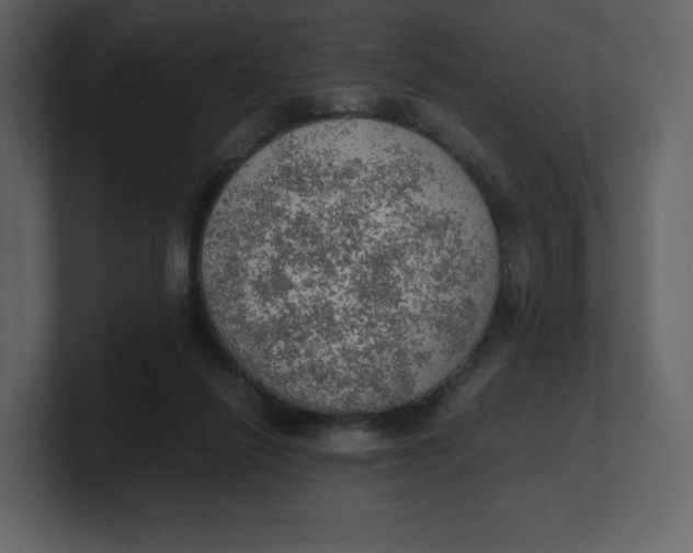 X0000100930262200807151250