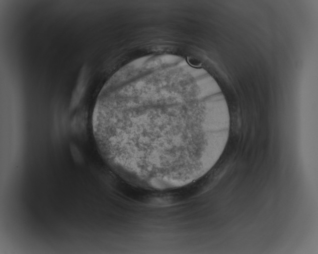 X0000100930263200807151250