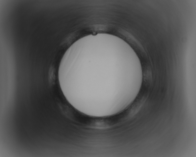 X0000100930264200807151250