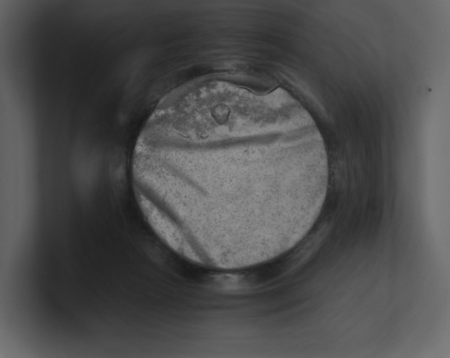 X0000100930265200807151250