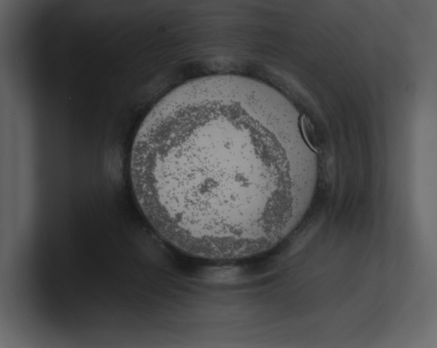 X0000100930266200807151250