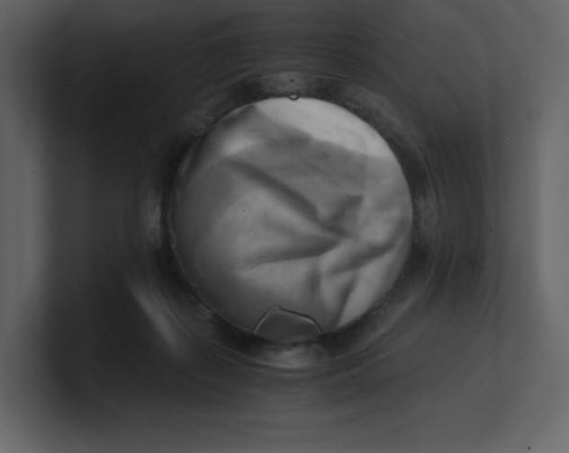 X0000100930267200807151250