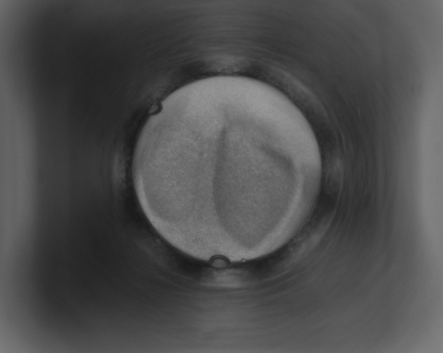 X0000100930268200807151250