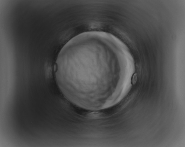 X0000100930269200807151250