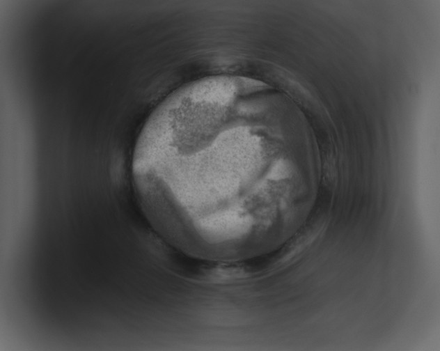 X0000100930270200807151250