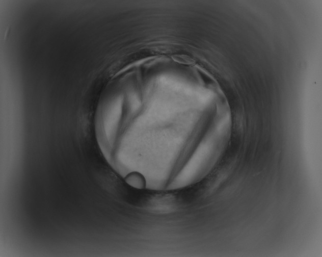 X0000100930271200807151250