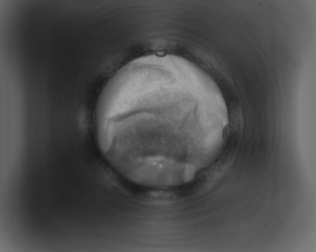 X0000100930272200807151251